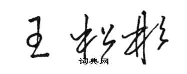 駱恆光王松彬草書個性簽名怎么寫