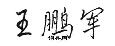 駱恆光王鵬軍行書個性簽名怎么寫