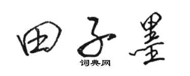 駱恆光田子墨行書個性簽名怎么寫