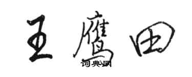 駱恆光王鷹田行書個性簽名怎么寫