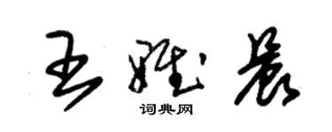 朱錫榮王雅晨草書個性簽名怎么寫