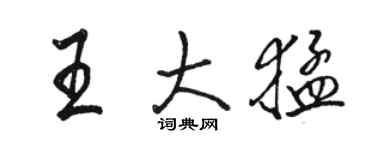 駱恆光王大猛行書個性簽名怎么寫