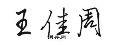 駱恆光王佳周行書個性簽名怎么寫