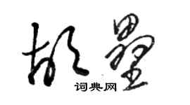 駱恆光胡壘草書個性簽名怎么寫