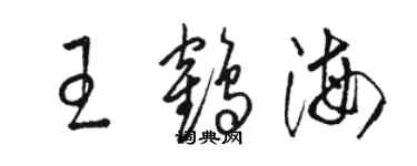 駱恆光王鶴海草書個性簽名怎么寫