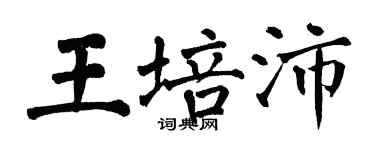 翁闓運王培沛楷書個性簽名怎么寫