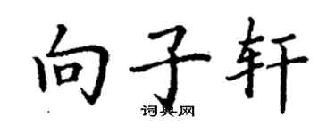丁謙向子軒楷書個性簽名怎么寫