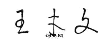 駱恆光王才文草書個性簽名怎么寫