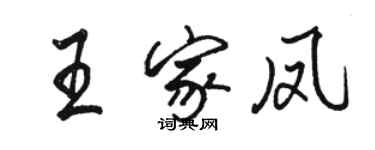 駱恆光王家鳳行書個性簽名怎么寫