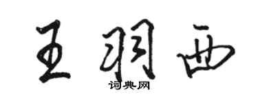 駱恆光王羽西行書個性簽名怎么寫