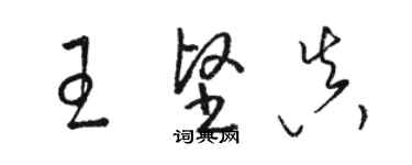 駱恆光王堅真草書個性簽名怎么寫