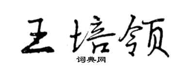 曾慶福王培領行書個性簽名怎么寫