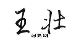 駱恆光王壯行書個性簽名怎么寫