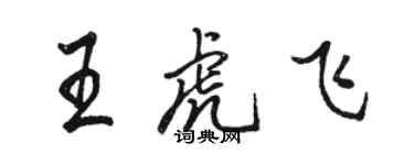 駱恆光王虎飛行書個性簽名怎么寫