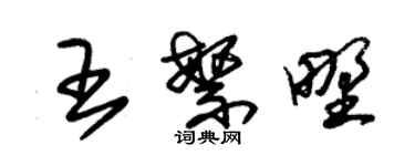 朱錫榮王繁野草書個性簽名怎么寫