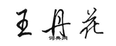 駱恆光王丹花行書個性簽名怎么寫