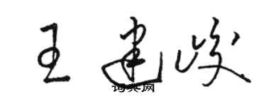 駱恆光王建峻草書個性簽名怎么寫