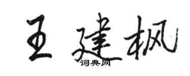 駱恆光王建楓行書個性簽名怎么寫