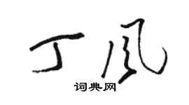 駱恆光丁風草書個性簽名怎么寫