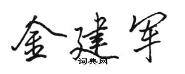 駱恆光金建軍行書個性簽名怎么寫