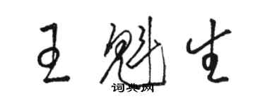 駱恆光王魁生草書個性簽名怎么寫