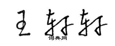 駱恆光王軒軒草書個性簽名怎么寫