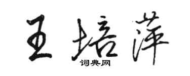 駱恆光王培萍行書個性簽名怎么寫