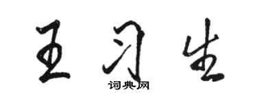 駱恆光王習生行書個性簽名怎么寫