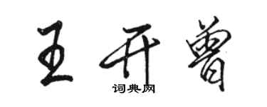 駱恆光王開曾行書個性簽名怎么寫