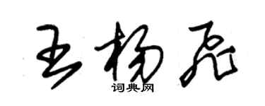 朱錫榮王楊飛草書個性簽名怎么寫