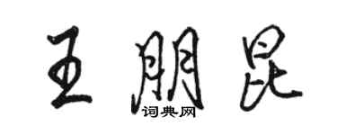 駱恆光王朋昆行書個性簽名怎么寫