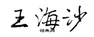 曾慶福王海沙行書個性簽名怎么寫