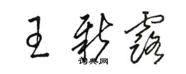 駱恆光王新露草書個性簽名怎么寫