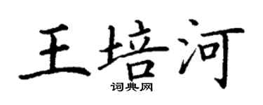 丁謙王培河楷書個性簽名怎么寫