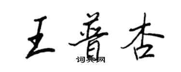 王正良王普杏行書個性簽名怎么寫