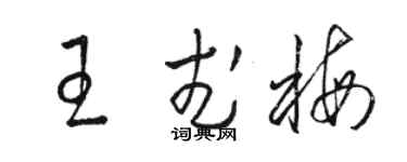 駱恆光王武梅草書個性簽名怎么寫