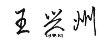 駱恆光王興州行書個性簽名怎么寫