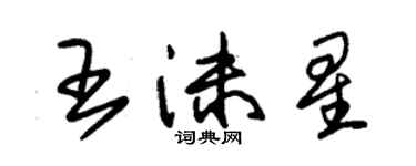 朱錫榮王沫星草書個性簽名怎么寫