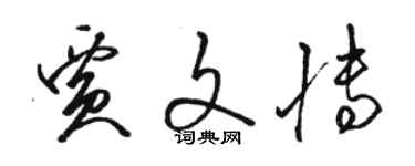 駱恆光賈文博草書個性簽名怎么寫