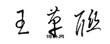 駱恆光王革聯草書個性簽名怎么寫