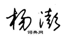 朱錫榮楊澎草書個性簽名怎么寫