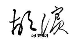 駱恆光胡濱草書個性簽名怎么寫