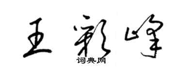 梁錦英王彩峰草書個性簽名怎么寫