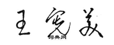 駱恆光王憲美草書個性簽名怎么寫