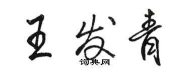 駱恆光王發青行書個性簽名怎么寫