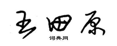 朱錫榮王田原草書個性簽名怎么寫