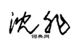 朱錫榮沈非草書個性簽名怎么寫