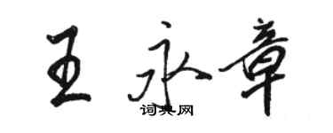 駱恆光王永章行書個性簽名怎么寫