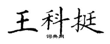 丁謙王科挺楷書個性簽名怎么寫