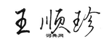 駱恆光王順珍行書個性簽名怎么寫